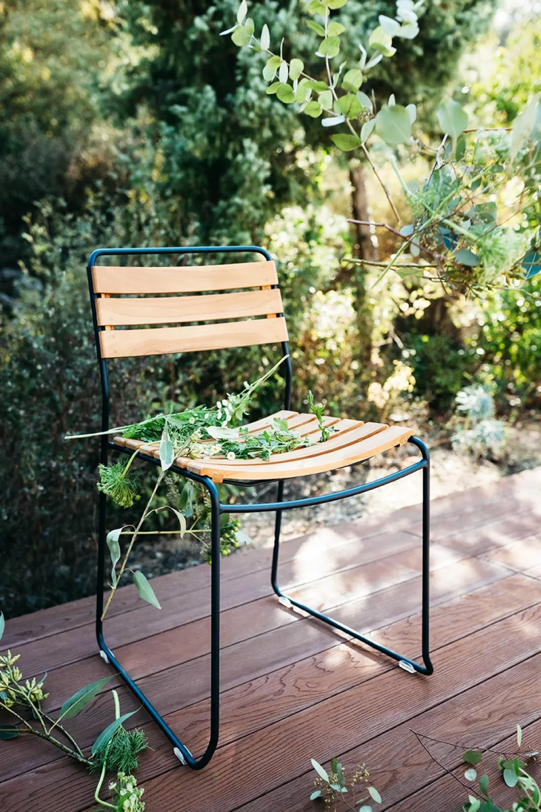 CHAISE TECK