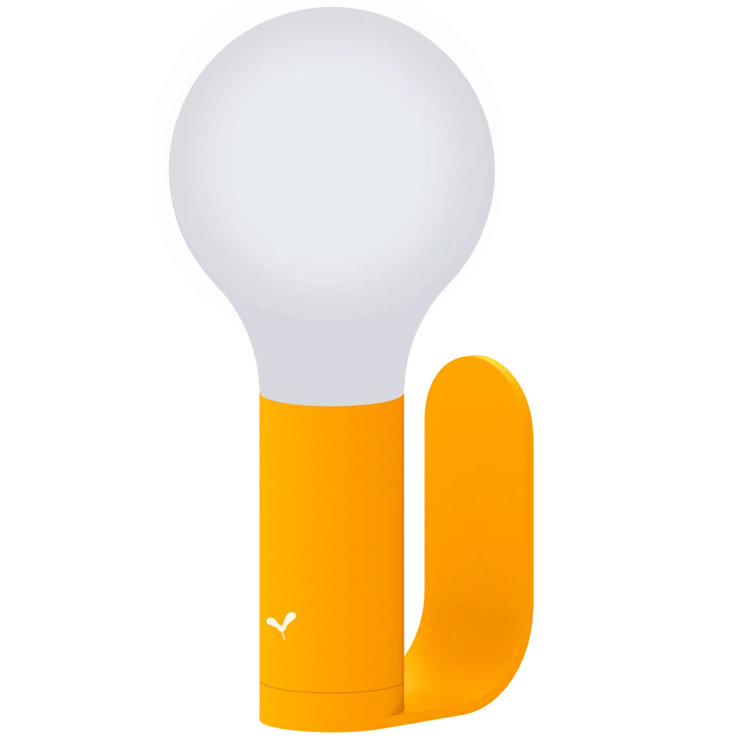 PACK LAMPE H.24 ET SUPPORT APPLIQUE MURALE