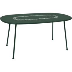 TABLE OVALE 160 X 90 CM