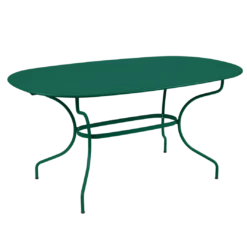 TABLE OVALE 160 X 90 CM