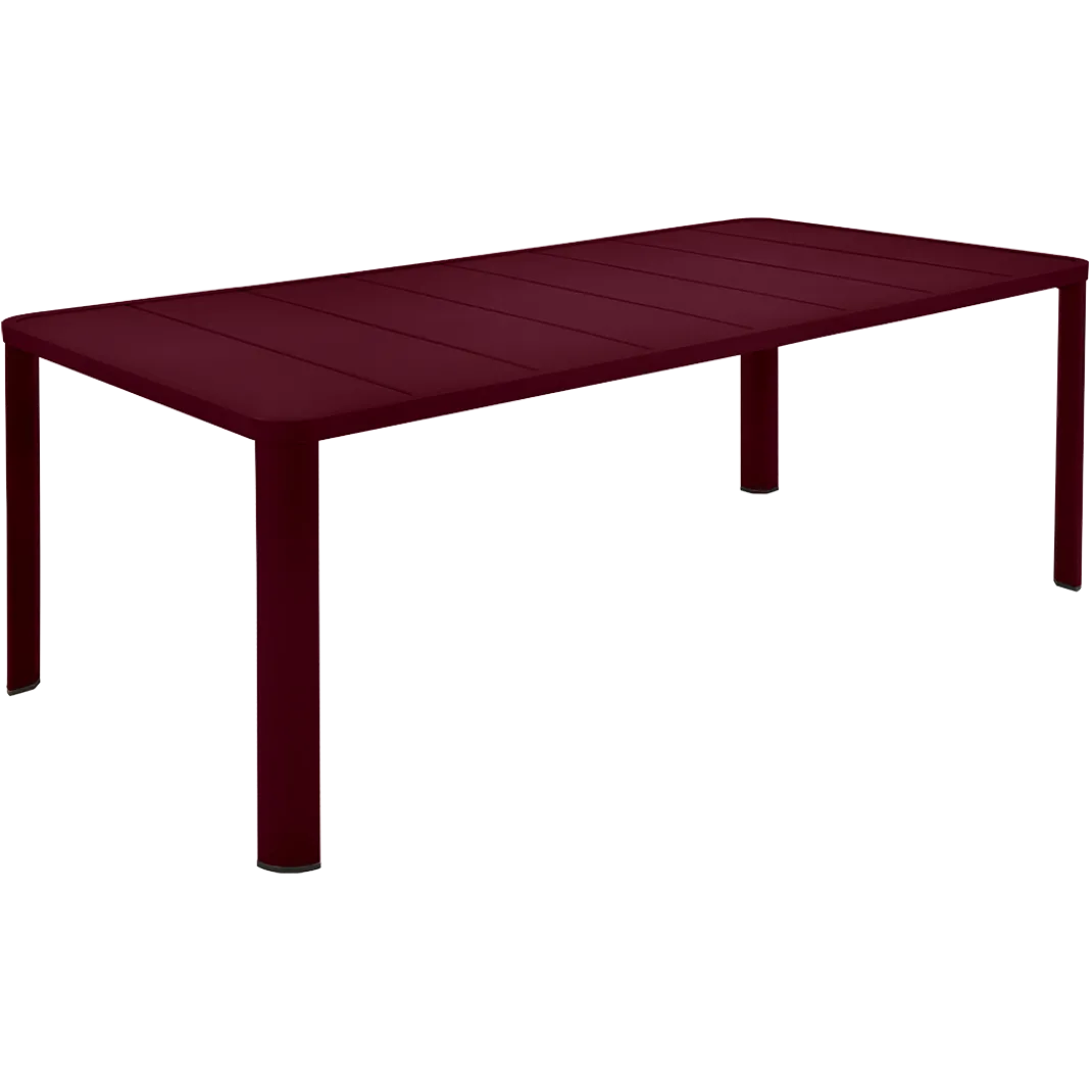 TABLE 205 X 100 CM