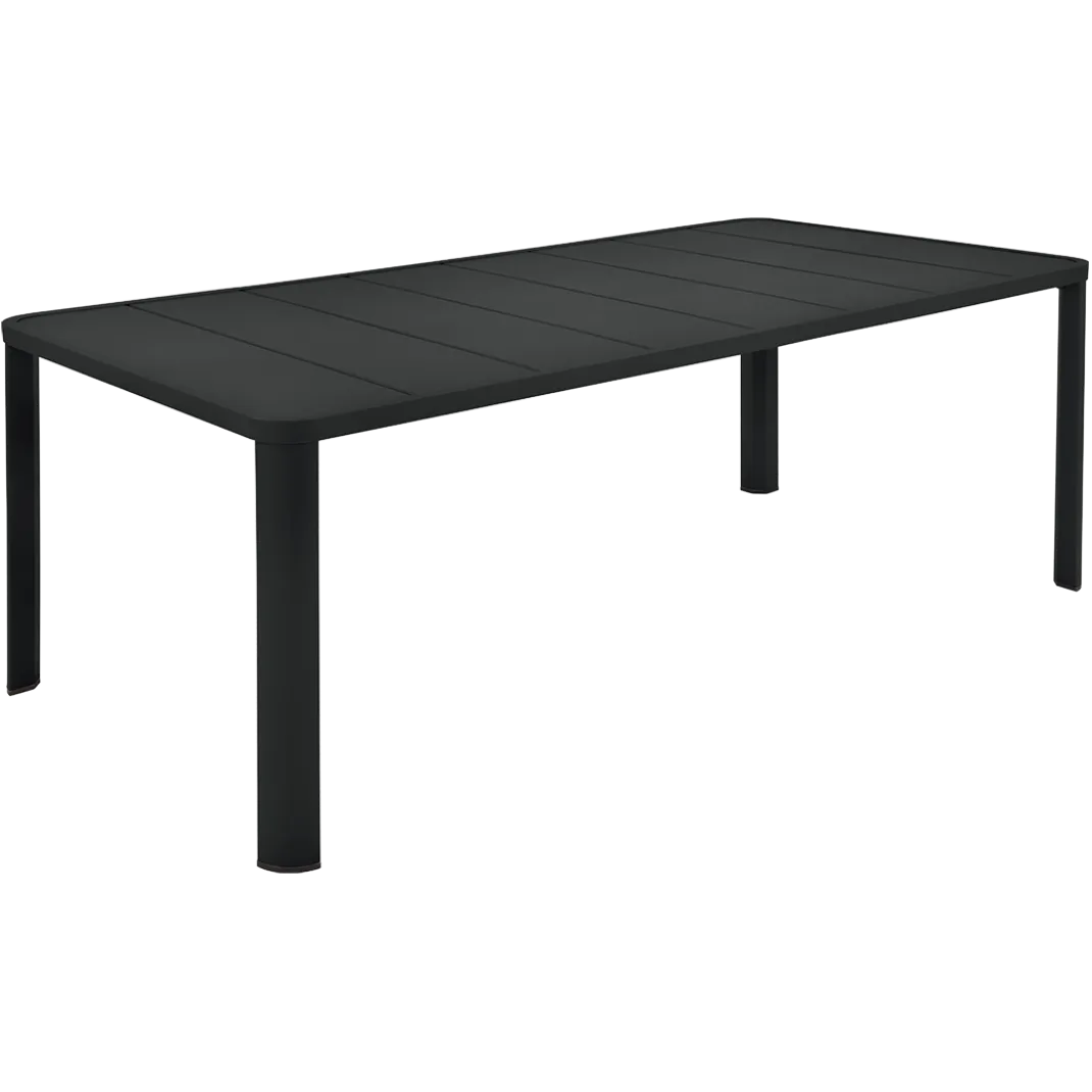 TABLE 205 X 100 CM