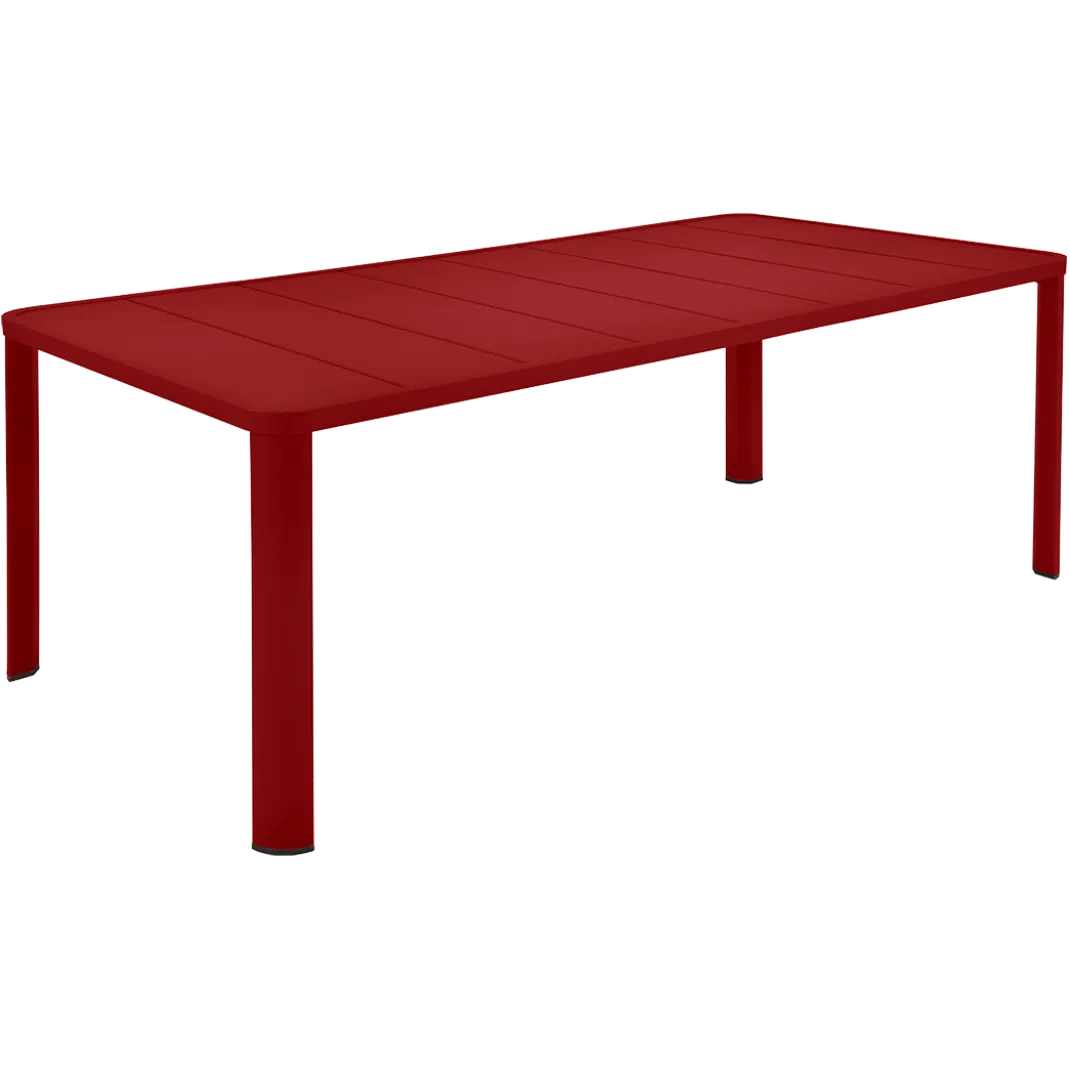 TABLE 205 X 100 CM