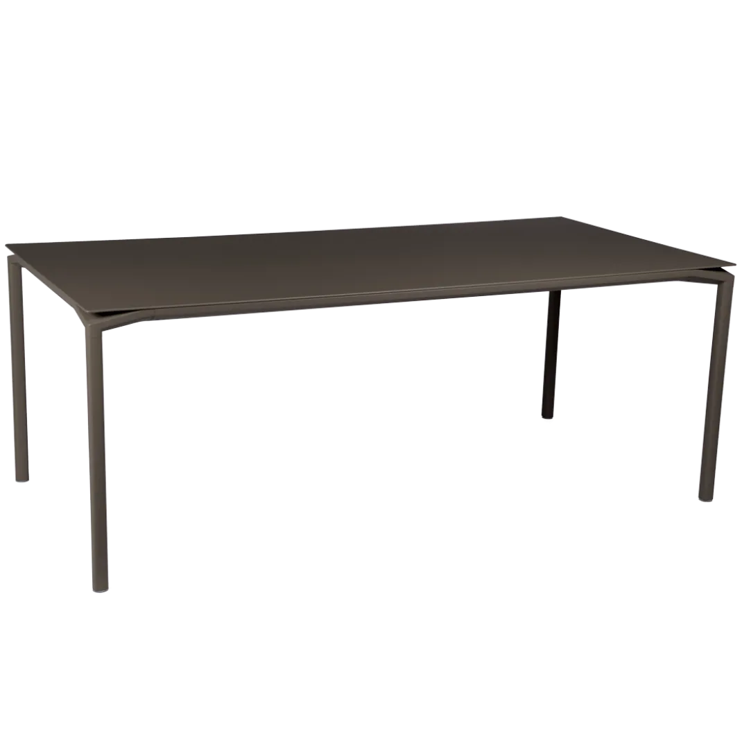 TABLE 195 X 95 CM