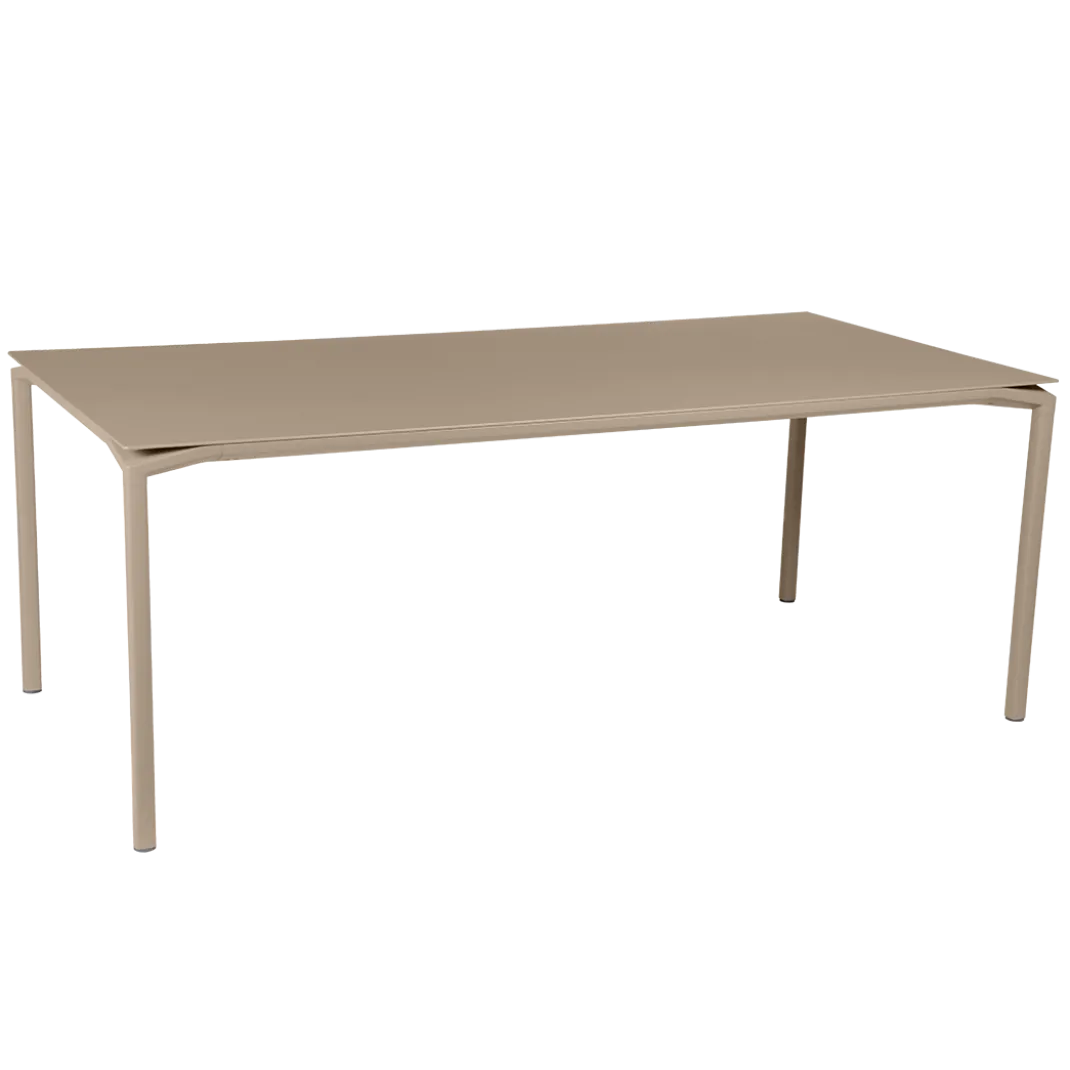 TABLE 195 X 95 CM