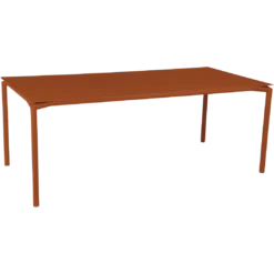 TABLE 195 X 95 CM