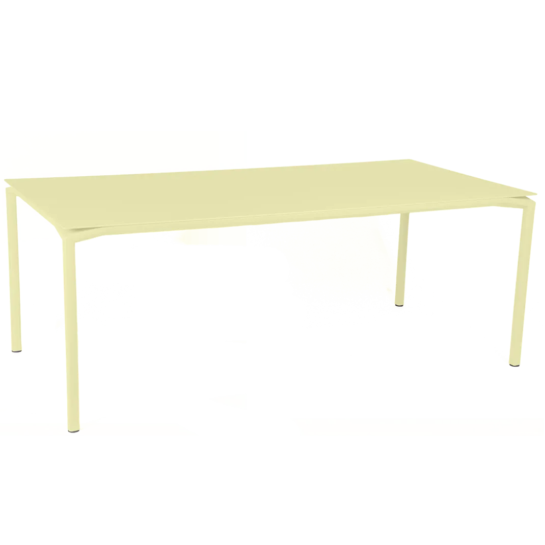 TABLE 195 X 95 CM