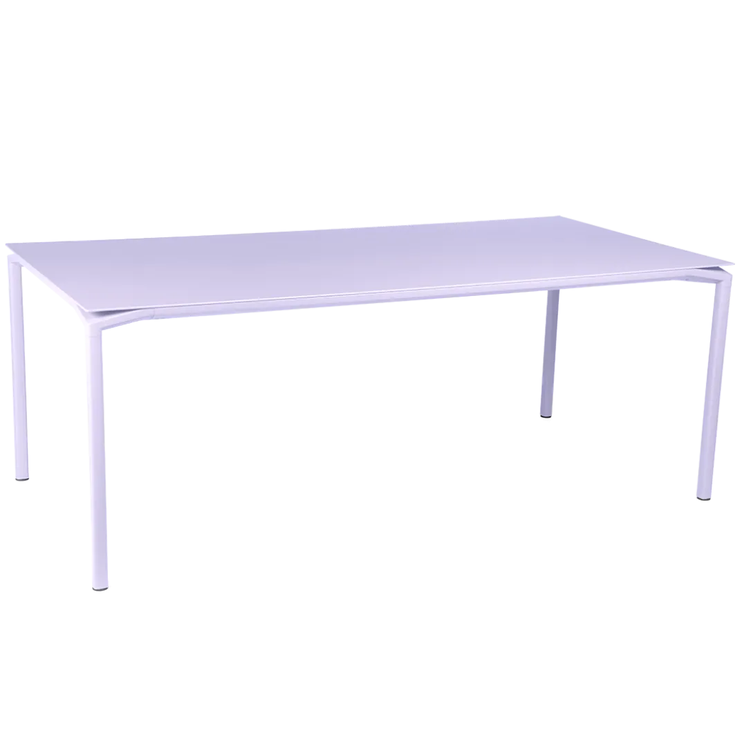TABLE 195 X 95 CM