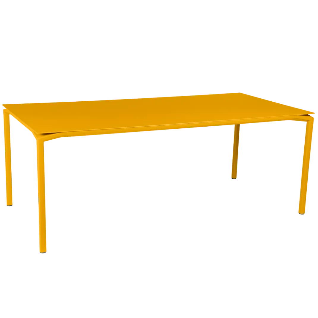 TABLE 195 X 95 CM
